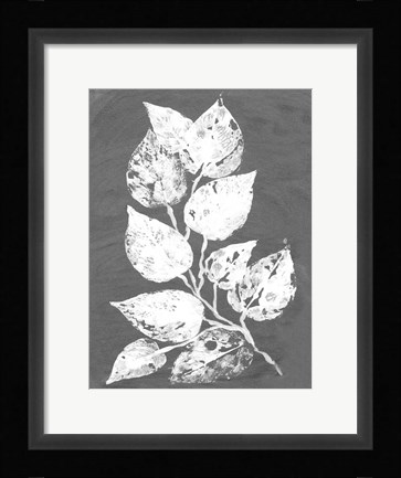 Framed Frosty Philodendron II Print