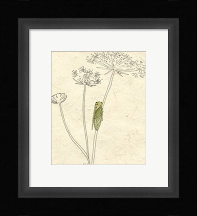 Framed Summer Chorus I Print