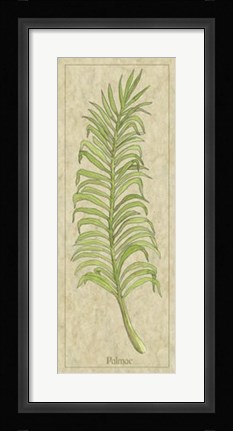 Framed Palmae Leaf Print