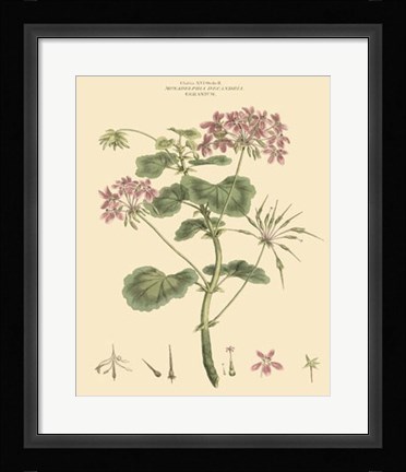 Framed Blushing Pink Florals IV Print