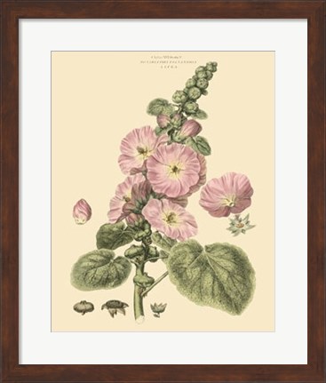 Framed Blushing Pink Florals V Print