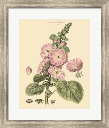 Framed Blushing Pink Florals V Print