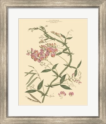 Framed Blushing Pink Florals VI Print
