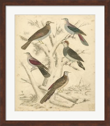 Framed Avian Habitat I Print