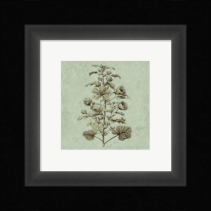 Framed Imperial Munting I Print