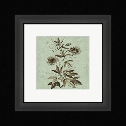 Framed Imperial Munting III Print