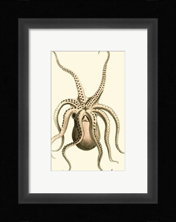 Framed Creatures of the Sea VI Print