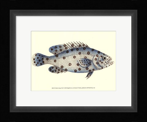 Framed Antique Fish I Print
