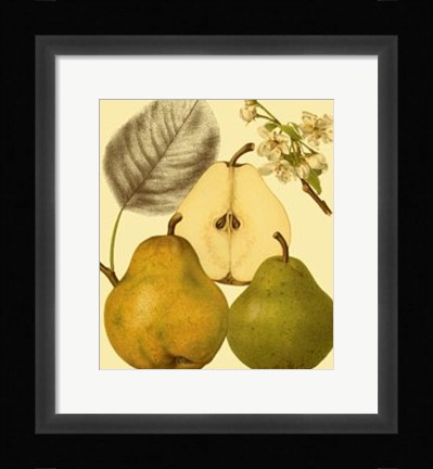 Framed Ripe for Harvest III Print