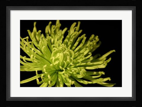 Framed Fuji Mum I Print