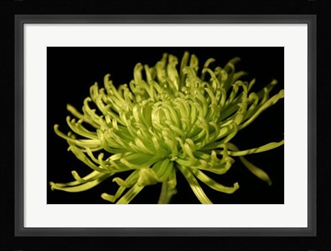 Framed Fuji Mum II Print