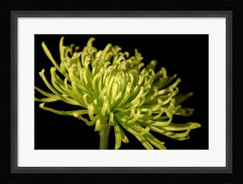 Framed Fuji Mum III Print