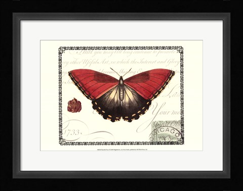 Framed Butterfly Prose I Print