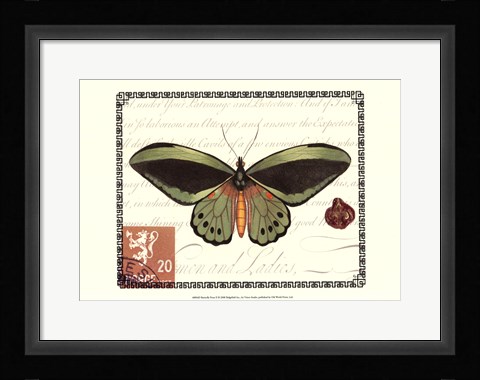 Framed Butterfly Prose II Print