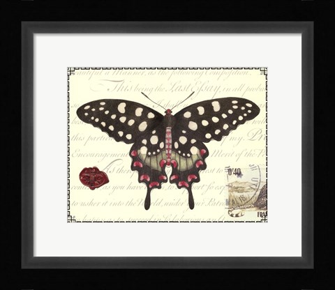 Framed Butterfly Prose V Print