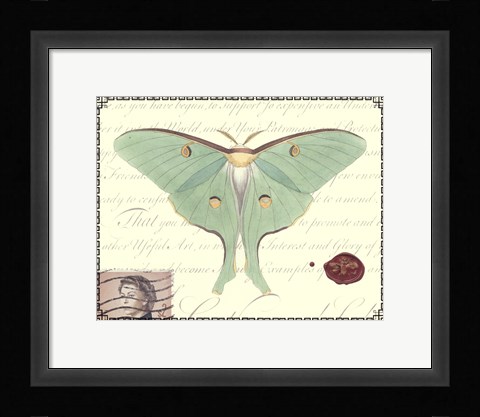 Framed Butterfly Prose VI Print