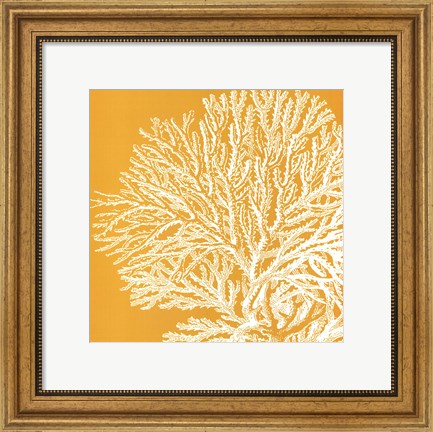Framed Saturated Coral I Print
