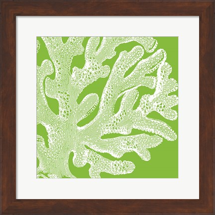 Framed Saturated Coral II Print