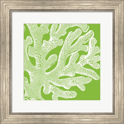 Framed Saturated Coral II Print