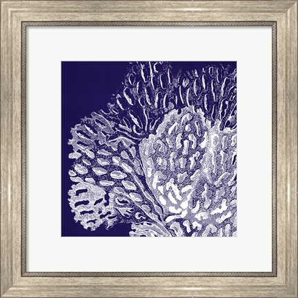 Framed Saturated Coral III Print