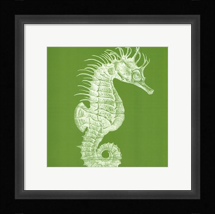 Framed Saturated Sealife II Print