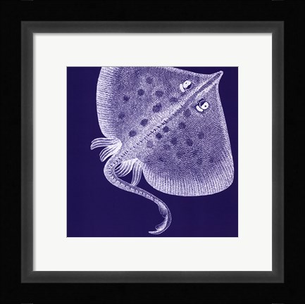 Framed Saturated Sealife III Print