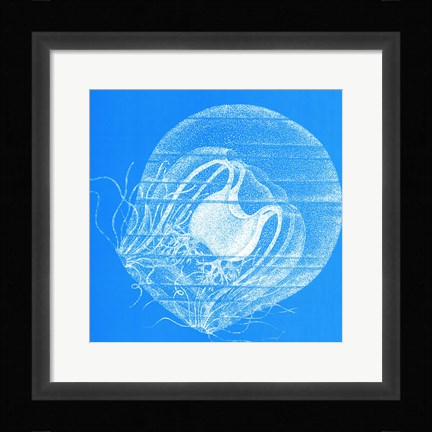 Framed Saturated Sealife IV Print