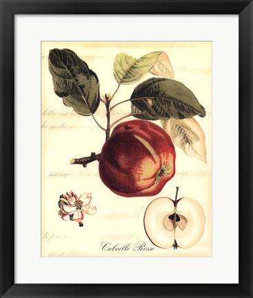 Framed Custom Tuscan Fruits I (AO) Print