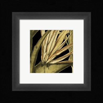 Framed Tranquil Tropical Leaves III Print