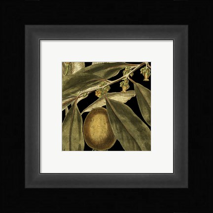 Framed Tranquil Tropical Leaves IV Print