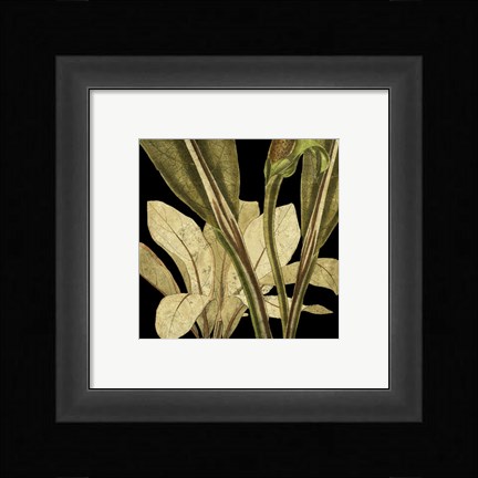 Framed Tranquil Tropical Leaves V Print