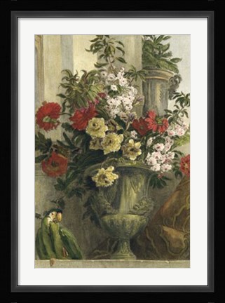 Framed From the Garden Print