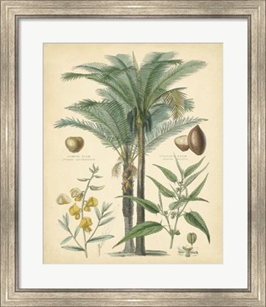 Framed Fruitful Palm I Print