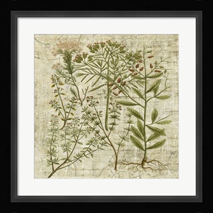 Framed Garden Verses I Print