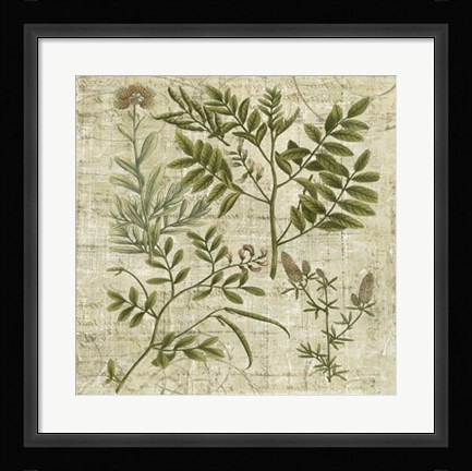 Framed Garden Verses II Print