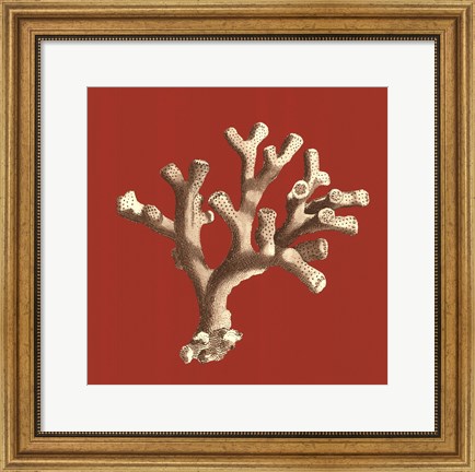 Framed Coral on Red II Print