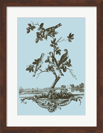 Framed Avian Toile I Print