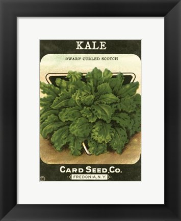 Framed Kale Print