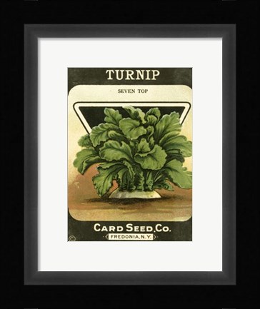 Framed Turnip Print