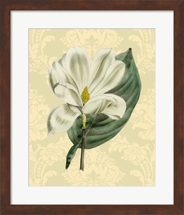 Framed Magnolia with background (A) Print