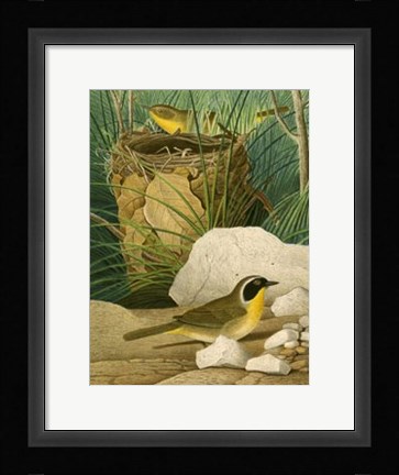 Framed Maryland Yellow-Throat Print