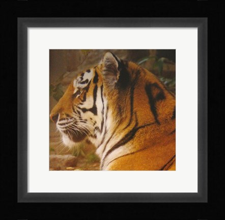 Framed True Phillies Fan - Philadelphia Zoo Print