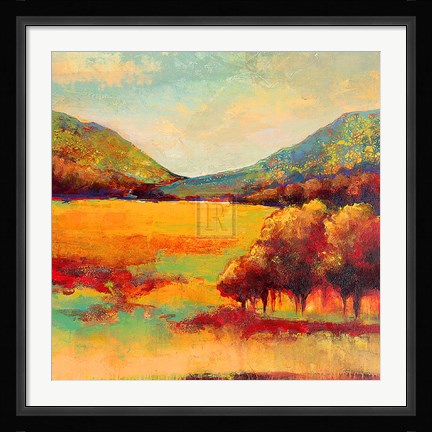 Framed Color Of Summer II Print