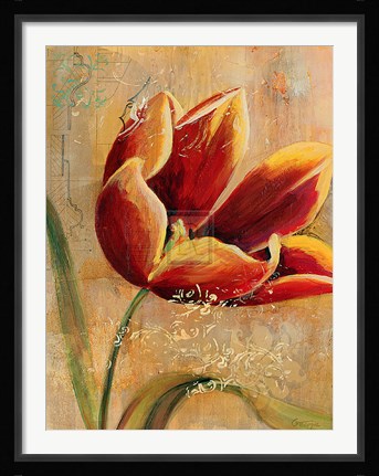 Framed Floral Promices III Print