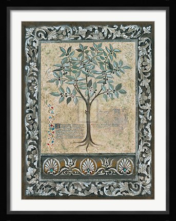 Framed Fresco Botanica I Print