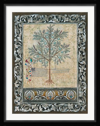 Framed Fresco Botanica II Print