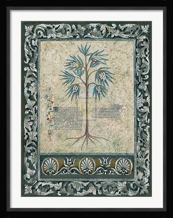 Framed Fresco Botanica IV Print