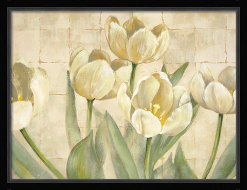 Framed White Tulips on Ivory Print