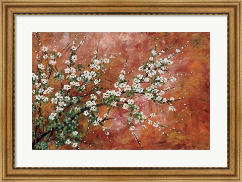 Framed Wild Plum Blossoms Print