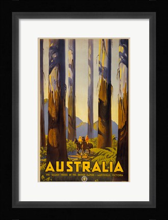 Framed Australia - Tallest Trees Print